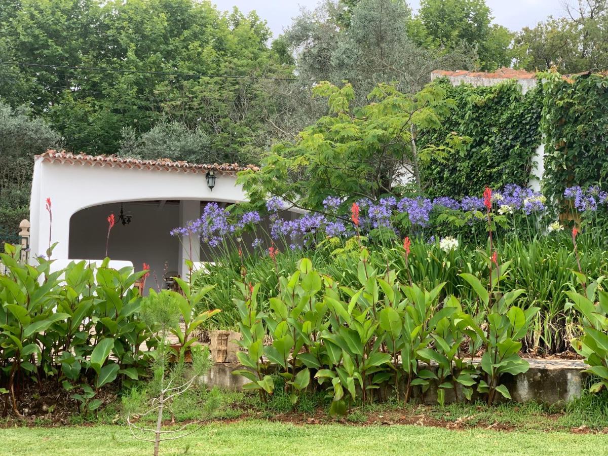 Quinta Dos Girassois Fz Lägenhet Ferreira do Zêzere Exteriör bild