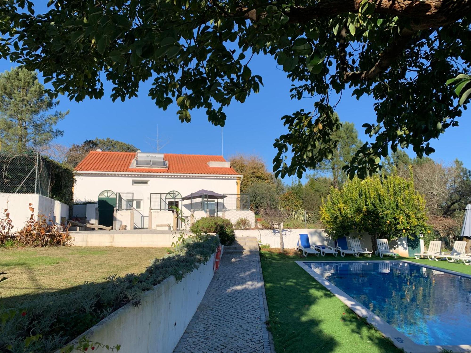Quinta Dos Girassois Fz Lägenhet Ferreira do Zêzere Rum bild